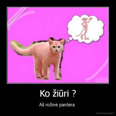 Ko žiūri ? - Aš rožinė pantera 