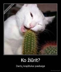 Ko žiūrit? - Dantų krapštukai pasibaigė