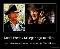 Kodel Freddy Krueger bijo uzmikti,  - nes baisiausiose kosmarose sapnuoja Chuck Norris