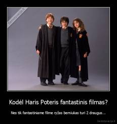 Kodėl Haris Poteris fantastinis filmas? - Nes tik fantastiniame filme ryžas berniukas turi 2 draugus...