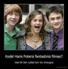 Kodėl Haris Poteris fantastinis filmas? - nes tik ten ryžas turi du draugus