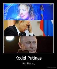Kodėl Putinas - Puls Lietuvą