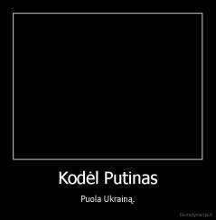 Kodėl Putinas - Puola Ukrainą.