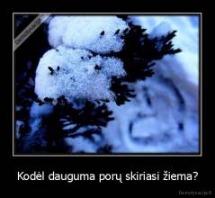 Kodėl dauguma porų skiriasi žiema? - 