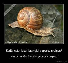 Kodėl estai labai brangiai superka sraiges? - Nes ten mažai žmoniu geba jas pagauti