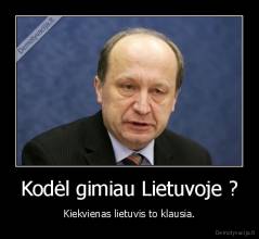 Kodėl gimiau Lietuvoje ? - Kiekvienas lietuvis to klausia.