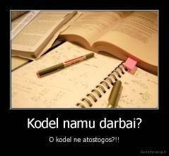 Kodel namu darbai? - O kodel ne atostogos?!!