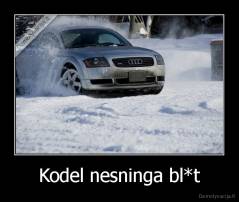 Kodel nesninga bl*t - 