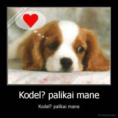 Kodel? palikai mane - Kodel? palikai mane