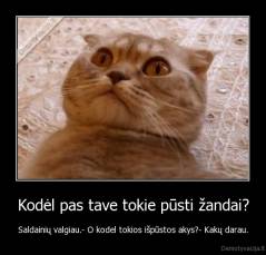 Kodėl pas tave tokie pūsti žandai? - Saldainių valgiau.- O kodel tokios išpūstos akys?- Kakų darau.