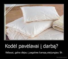 Kodėl pavėlavai į darbą?    - Kėliausi, galva dėjau į pagalves kampą atsijungiau 5h