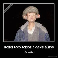 Kodėl tavo tokios didelės ausys - Ką sakiai