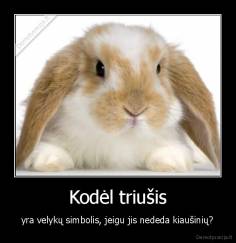 Kodėl triušis - yra velykų simbolis, jeigu jis nededa kiaušinių?