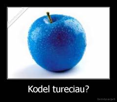 Kodel tureciau? - 