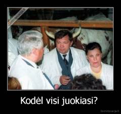 Kodėl visi juokiasi?  - 