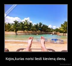 Kojos,kurias norisi liesti kievieną dieną. - 