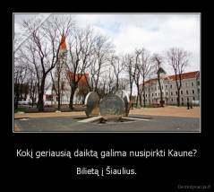 Kokį geriausią daiktą galima nusipirkti Kaune? - Bilietą į Šiaulius.