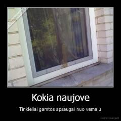 Kokia naujove - Tinkleliai gamtos apsaugai nuo vemalu