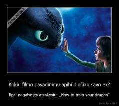 Kokiu filmo pavadinimu apibūdinčiau savo ex? - Ilgai negalvojęs atsakysiu: „How to train your dragon“