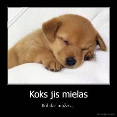 Koks jis mielas - Kol dar mažas...