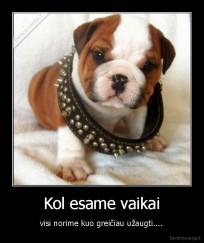 Kol esame vaikai - visi norime kuo greičiau užaugti....