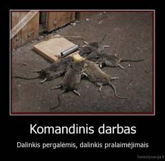 Komandinis darbas - Dalinkis pergalėmis, dalinkis pralaimėjimais