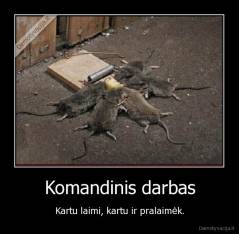 Komandinis darbas - Kartu laimi, kartu ir pralaimėk.