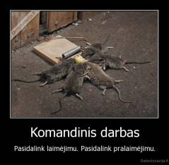 Komandinis darbas - Pasidalink laimėjimu. Pasidalink pralaimėjimu.