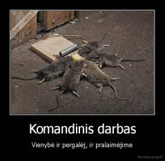 Komandinis darbas - Vienybė ir pergalėj, ir pralaimėjime