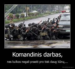 Komandinis darbas, - nes kulkos negali praeiti pro tiek daug kūnų....
