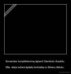 Komandos komplektavimą tęsianti Stambulo Anadolu  - Efes  ekipa sudarė ilgalaikį kontraktą su Birkanu Batuku. 