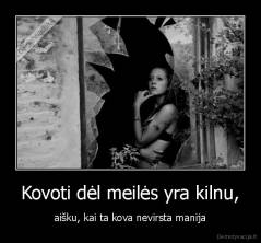 Kovoti dėl meilės yra kilnu, - aišku, kai ta kova nevirsta manija