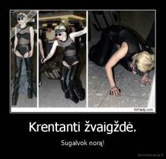 Krentanti žvaigždė. - Sugalvok norą!