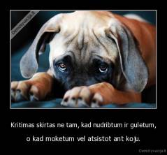 Kritimas skirtas ne tam, kad nudribtum ir guletum, - o kad moketum vel atsistot ant koju.