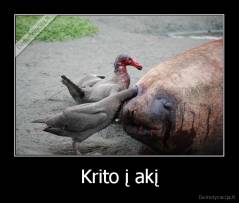 Krito į akį - 