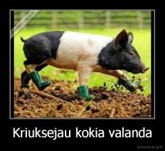 Kriuksejau kokia valanda - 