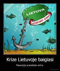 Krize Lietuvoje baigiasi - Pasaulyje prasideda antra 