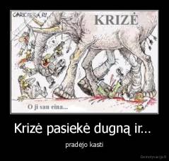 Krizė pasiekė dugną ir…  - pradėjo kasti
