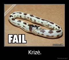 Krizė. - 