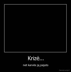 Krizė... - net karvės ją pajuto