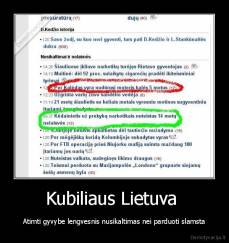 Kubiliaus Lietuva  - Atimti gyvybe lengvesnis nusikaltimas nei parduoti slamsta