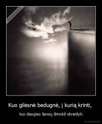 Kuo gilesnė bedugnė, į kurią krinti,  -  tuo daugiau šansų išmokti skraidyti.