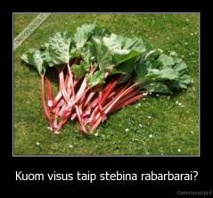 Kuom visus taip stebina rabarbarai? - 