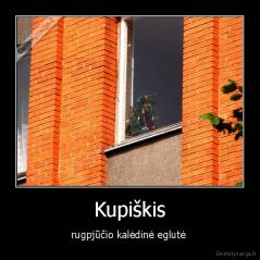 Kupiškis - rugpjūčio kalėdinė eglutė 