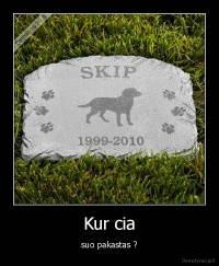 Kur cia - suo pakastas ?