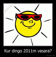 Kur dingo 2011m vasara? - 
