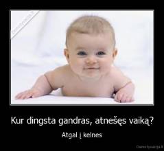 Kur dingsta gandras, atnešęs vaiką? - Atgal į kelnes