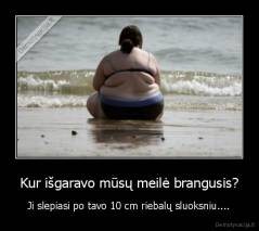 Kur išgaravo mūsų meilė brangusis? - Ji slepiasi po tavo 10 cm riebalų sluoksniu....