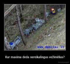 Kur maxima deda nereikalingus vežimėlius? - 