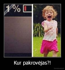 Kur pakrovėjas?! - 